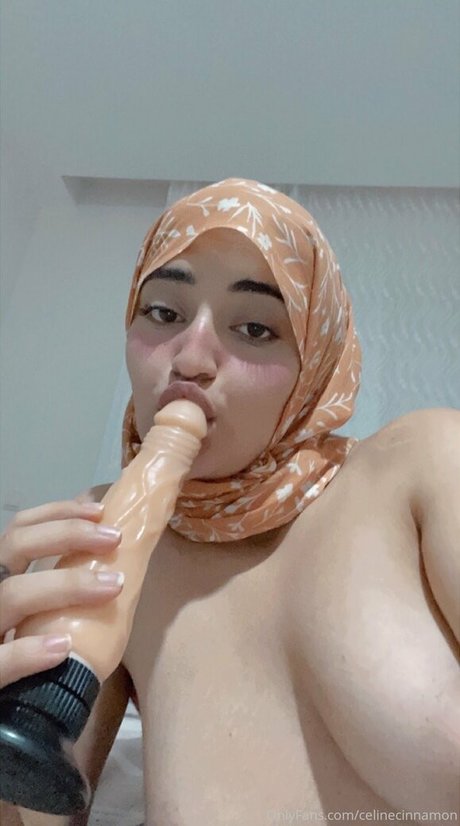 The Celine Cinnamon model art pictures