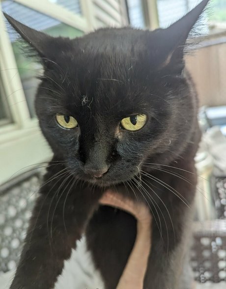 beautiful big boobs onlyfans sex pics