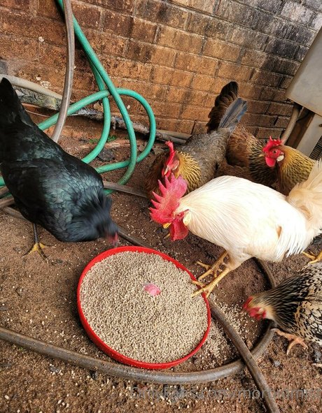 teen masturbation onlyfans free sex pic