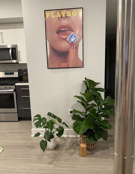 Japanesecream perfect star galleries