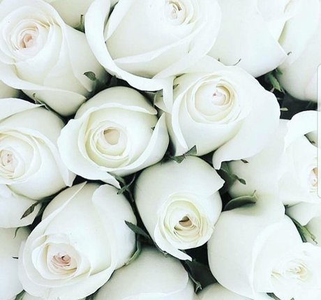 bunny nurse onlyfans porn photos