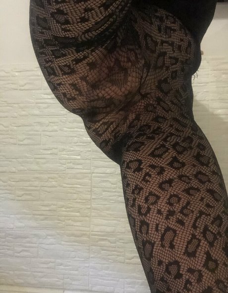 nikyborr model top img