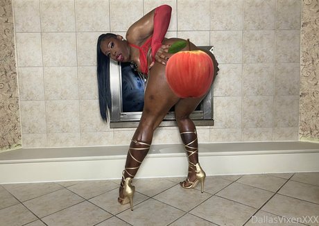 dallasvixenxxxfree hot star galleries