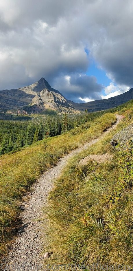 theofficialraybaby pornstar hd photo