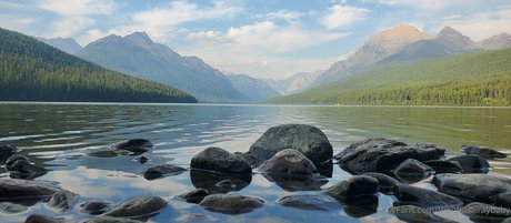 theofficialraybaby exclusive pornstar img