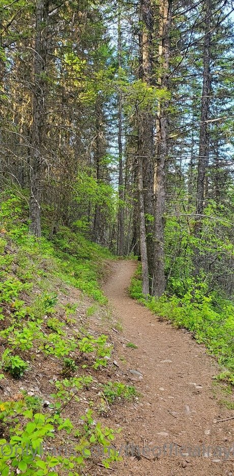 theofficialraybaby top model images