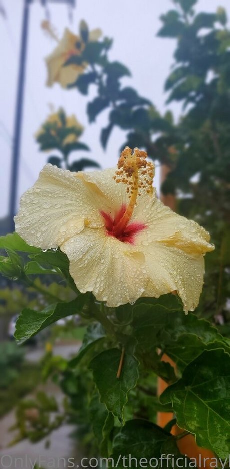 theofficialraybaby best actress pic