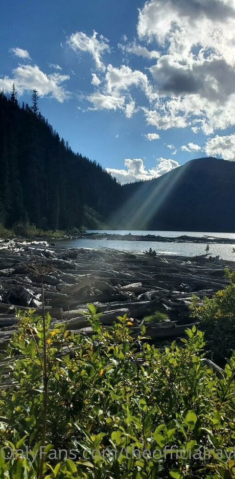 theofficialraybaby top profile image