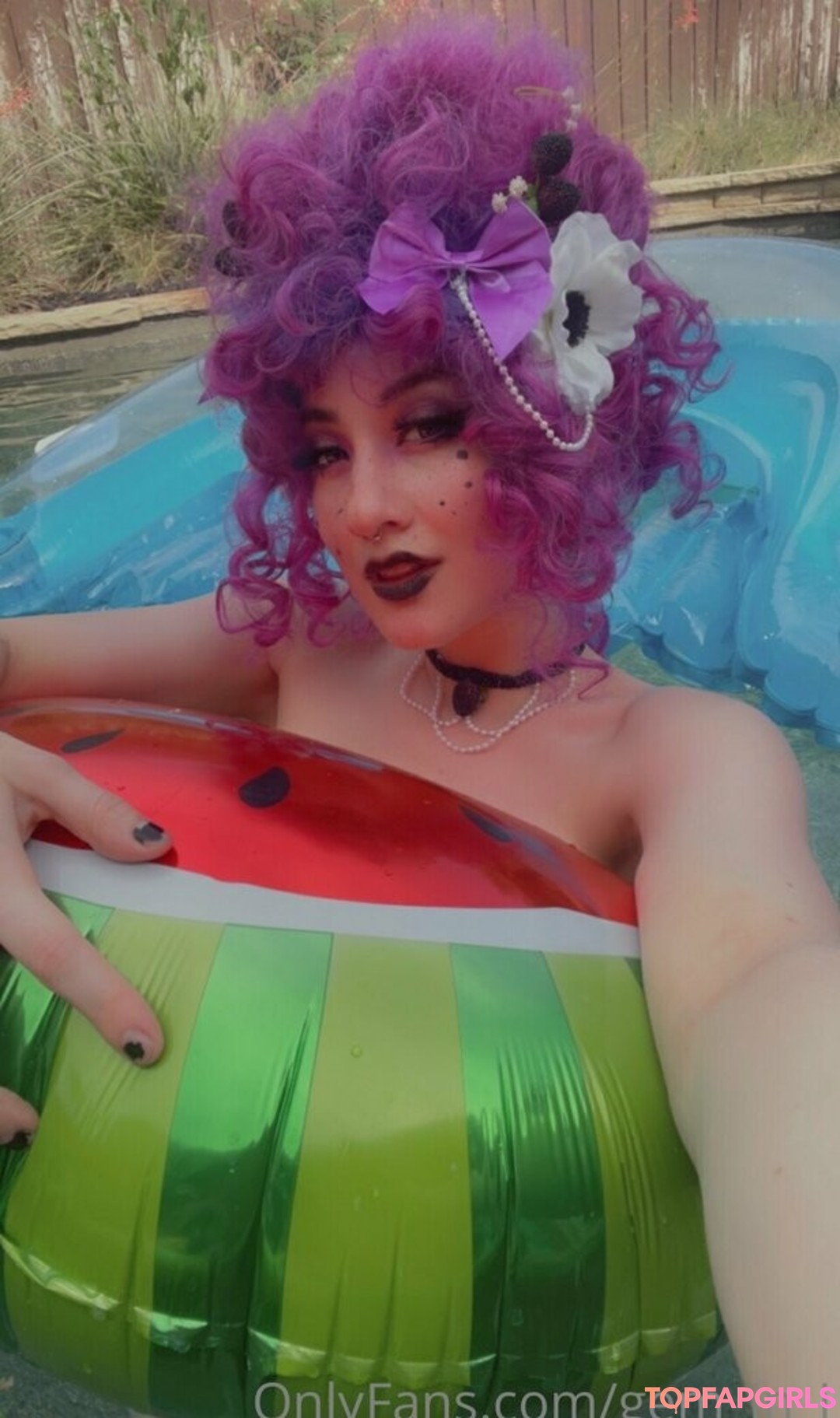 Gemini Chrysalis adult model image