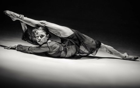 rippedbadass top profile image