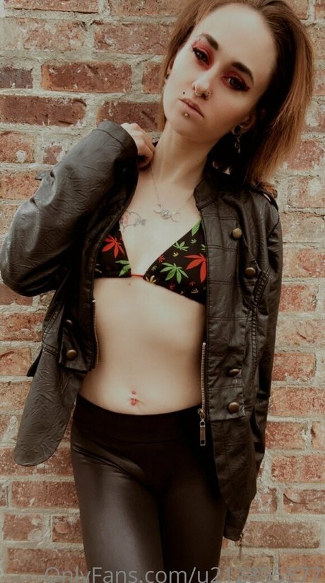 your fantasy527ca top profile image