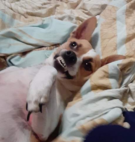 french anal onlyfans adult photos