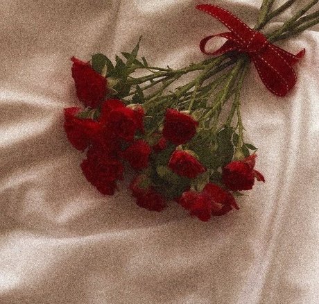 Merxoxo pornstar perfect pictures