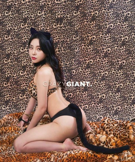 Shasa fly star adult img