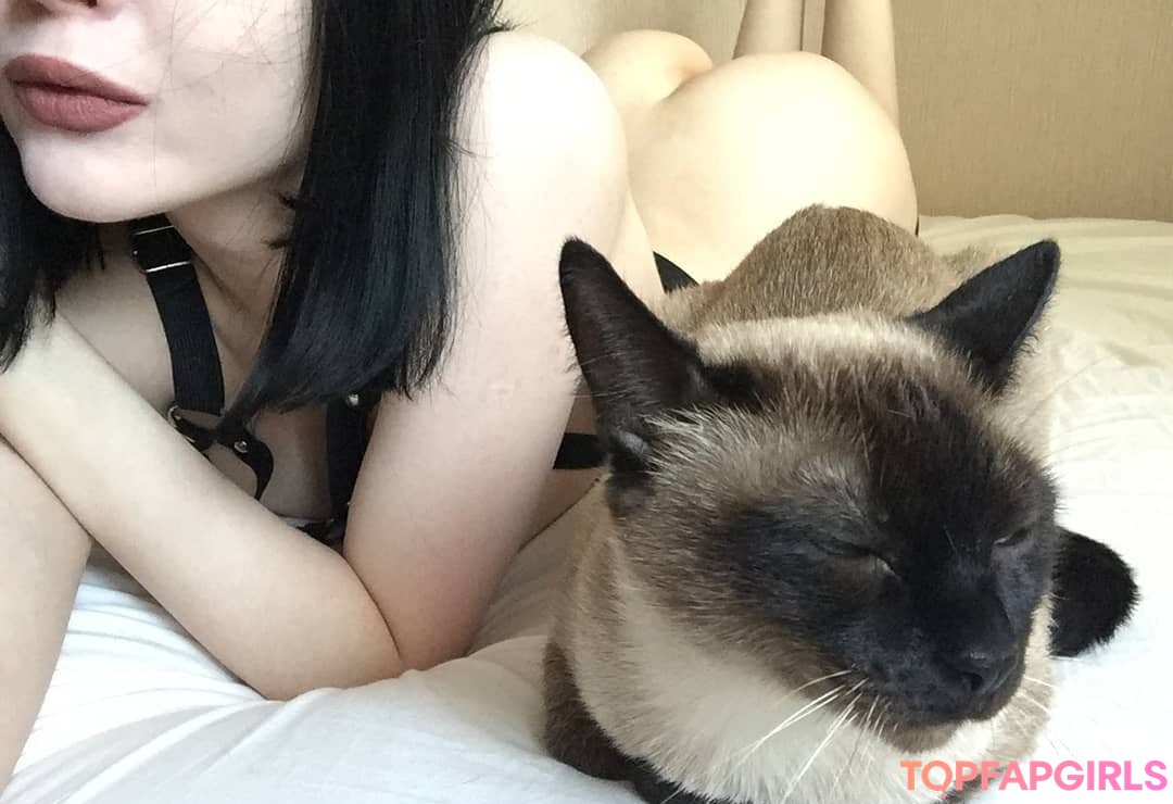 shadowshine5 top pornstar pic