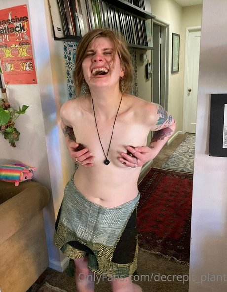 Decrepit plant star top photos