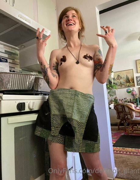 Decrepit plant star adult image