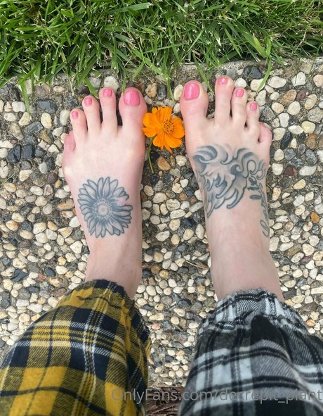 Decrepit plant model nice image