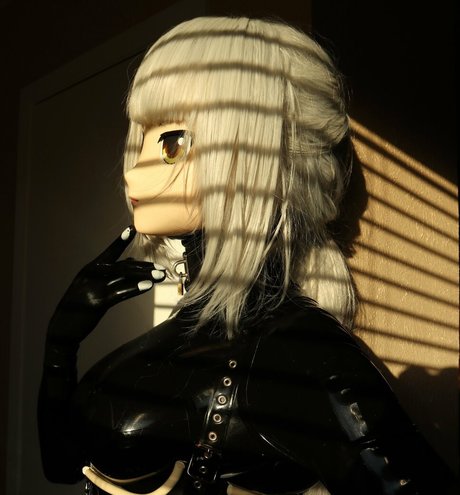 dollified nice star galleries