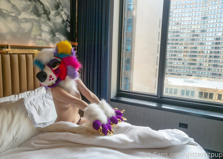 glittertitpup nice star galleries