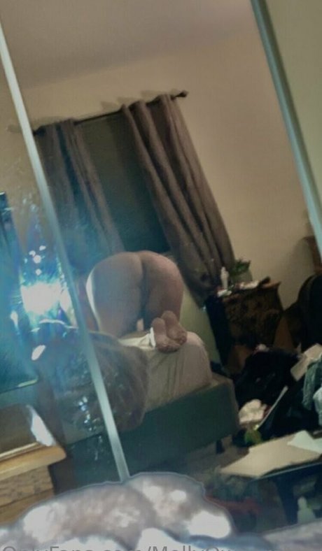 mollyperkoset star free pictures