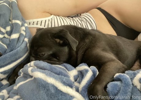 Sarah Fong hot actress photo