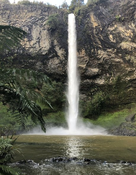 xxxsmilingcici star free galleries