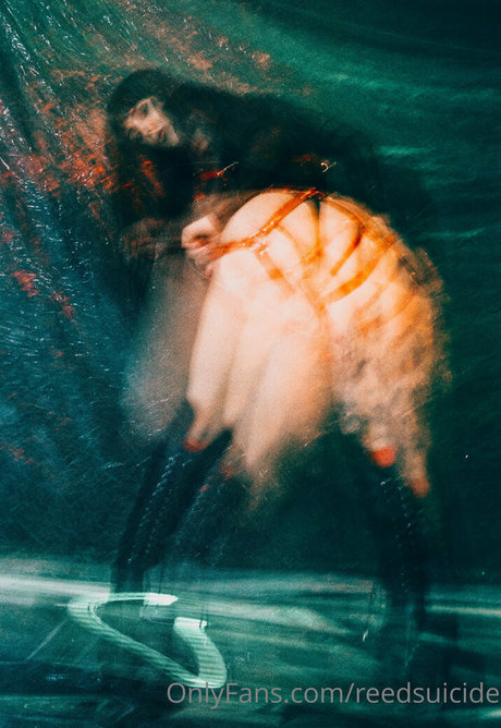 Reedsuicide pornographic model galleries