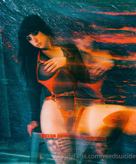 Reedsuicide sex pornstar images