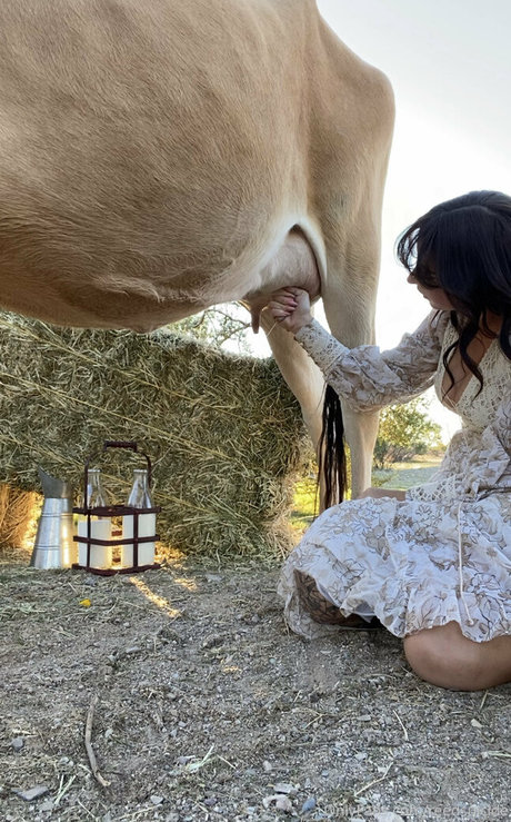 Reedsuicide art star pics