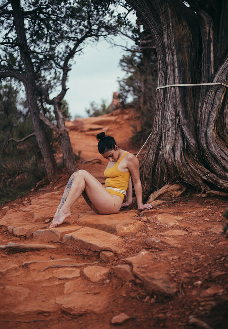 Reedsuicide star nudes galleries