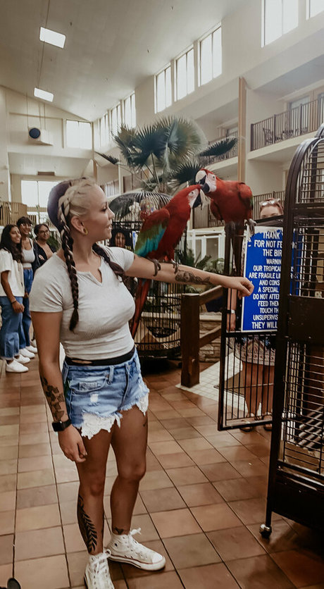 persephone27x hot pornstar img