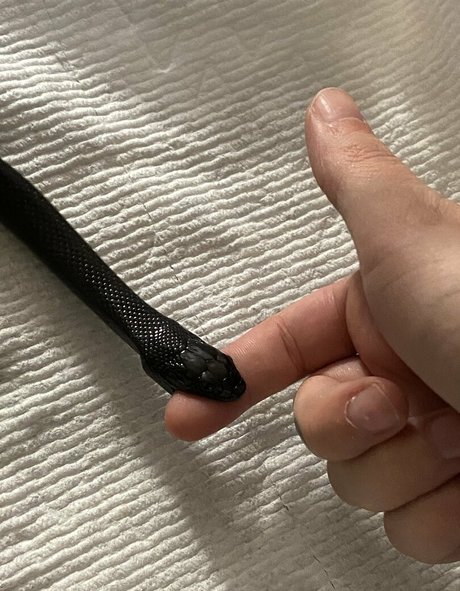 gay sauna onlyfans top pic