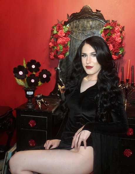 lemmonpussy perfect star galleries