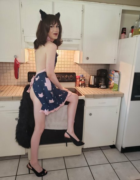 lemmonpussy star porn images