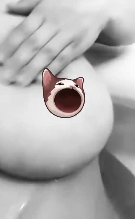 kitty ketttt star top pictures