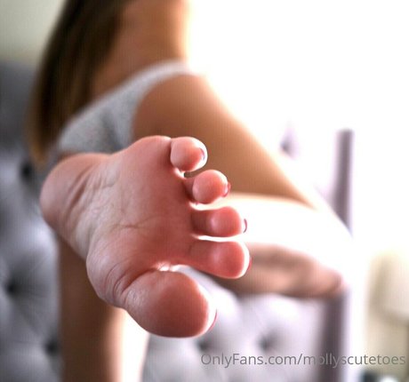 mollyscutetoes top profile image