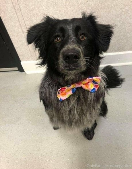 lesbian milf onlyfans hot photo