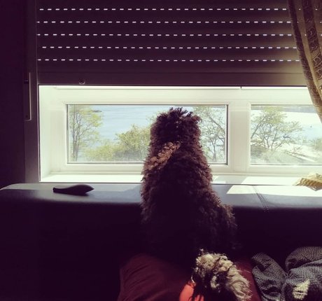 sucking big cock onlyfans free sexy img