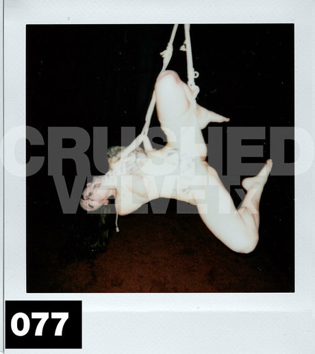 bikini sex onlyfans free sexy gallery