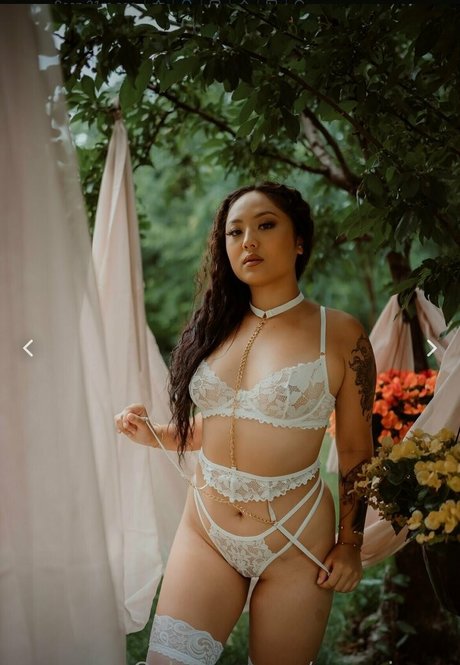 senpaiyang hd star archive