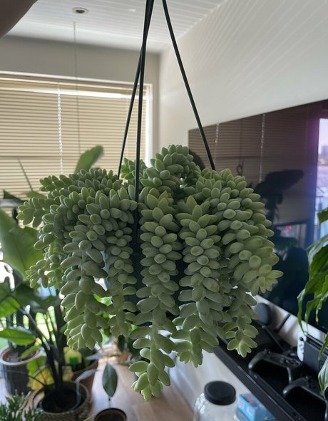 asian princess onlyfans adult pics