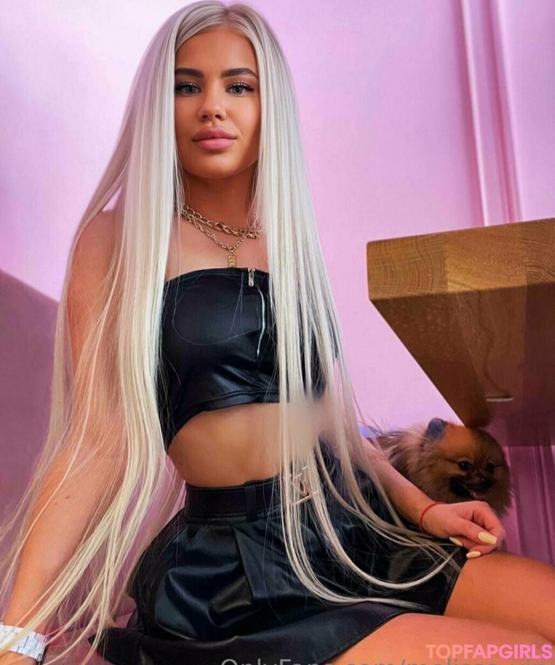 melissa vip pornstar art images