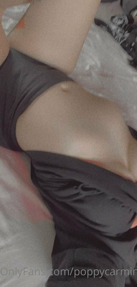 poppycarmine top profile image