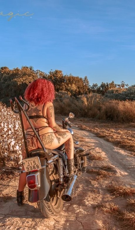 Varias Em Um high quality star gallery