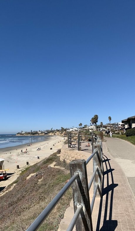 wellnesswithmary free star pic