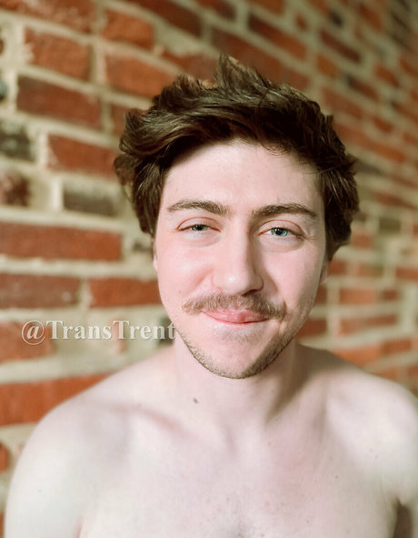 transtrentfree pornstar archive