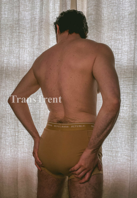 transtrentfree high quality pornstar pics