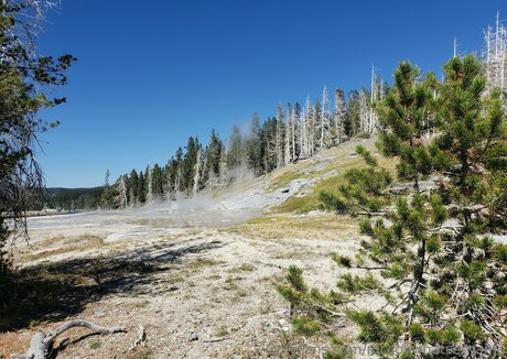 mccoywhatsername pornstar high quality images