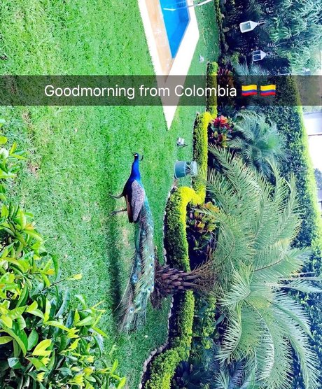 nikkidelano model beautiful gallery